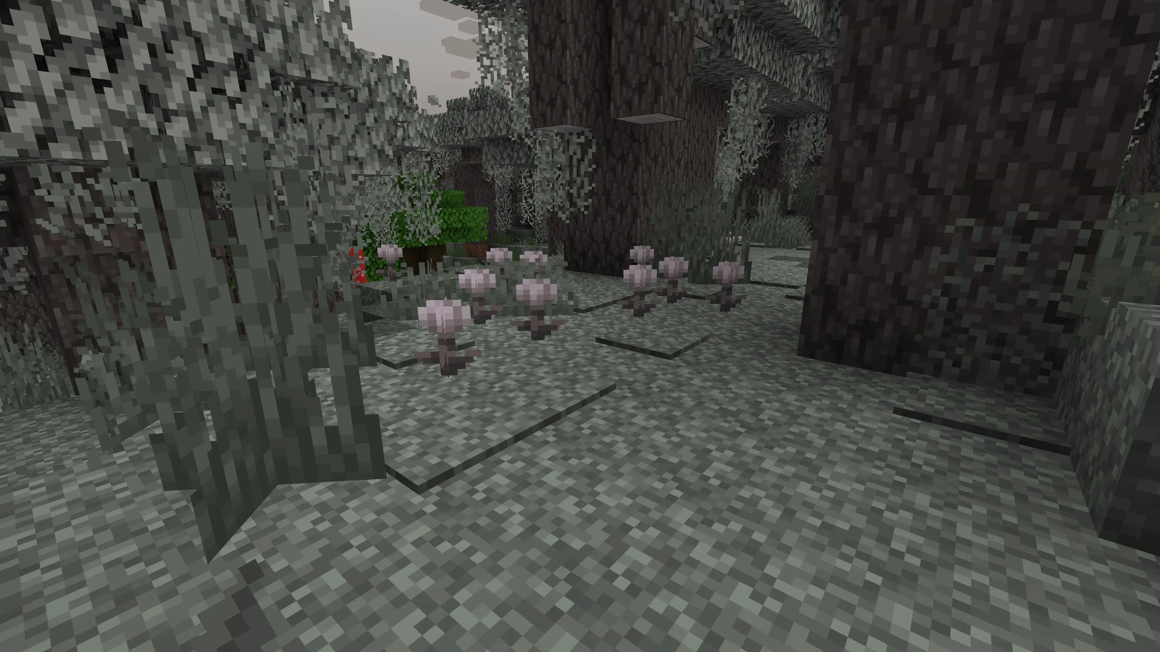eyeblossom